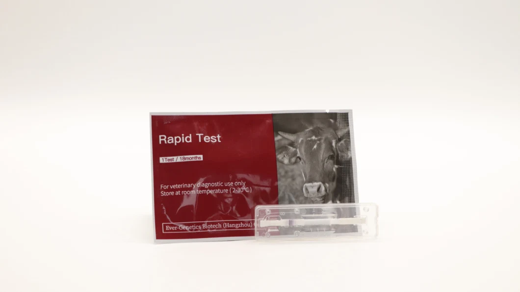 Swine Fever Test Kit African Pig Fever Antibody Rapid Diagnostic Test