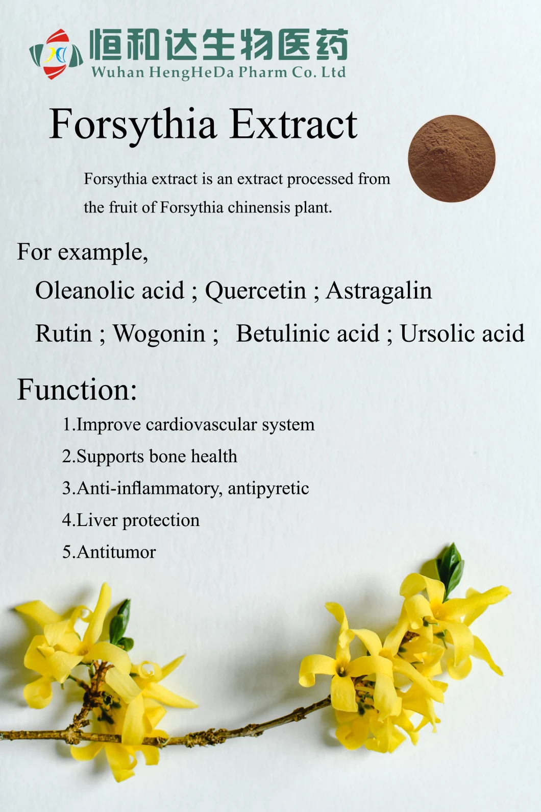 Hhd Factory Plant Extract Powder 20% Forsythia Suspense Nutrition Enhancers